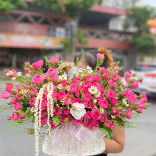 Mẫu 22