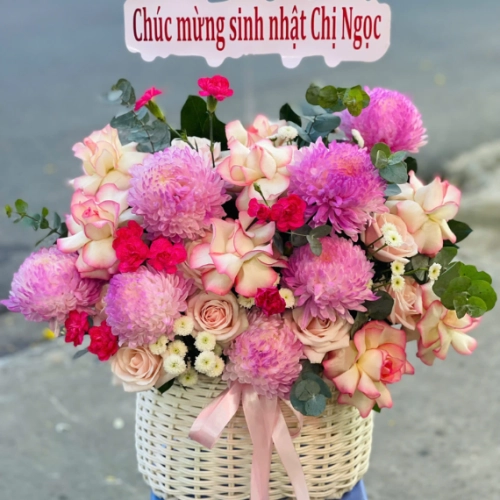 Mẫu 23
