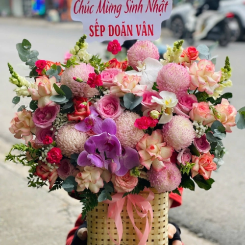 Mẫu 27