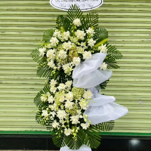 Mẫu 48