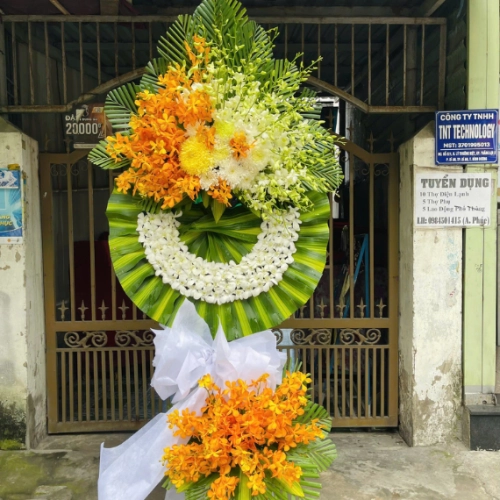 Mẫu 47