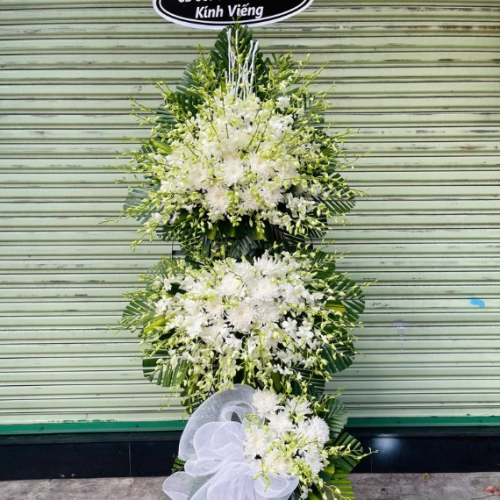 Mẫu 50